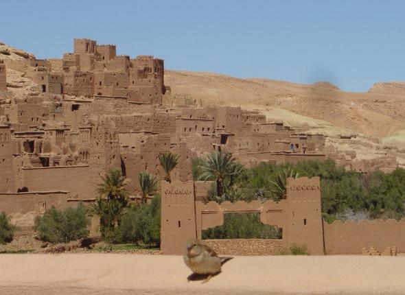 La Perle du Sud Hotel Ouarzazate Riad Ouarzazate :  services pour Handicaps